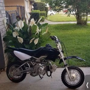 Meet your Posher, Brisyn